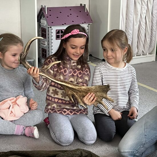 Program SEV Střevlík – lesní zvířátka